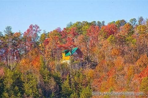 View of the Serenity cabin in the Smoky Mountains