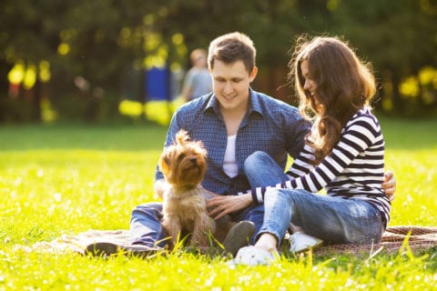 Couple having a picnic with their dog.