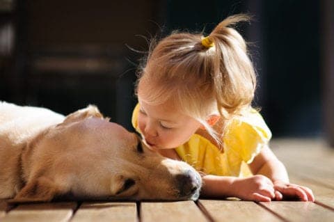 Little girl kissing a dog on the deck of a cabin.