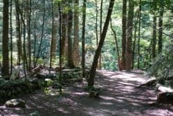 gatlinburg hiking trail