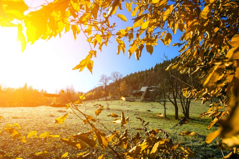 fall view of a mountain scene