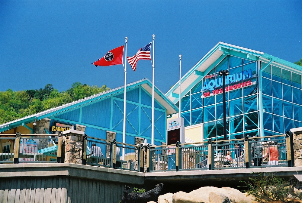 ripleys aquarium of the smokies