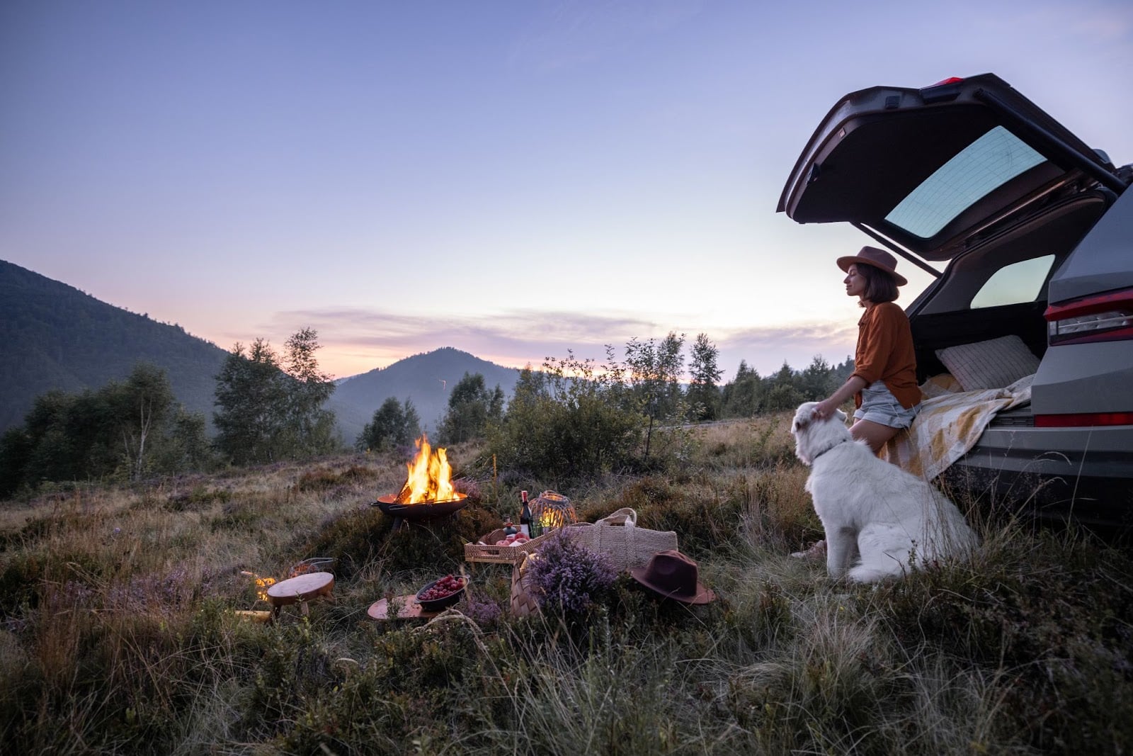 Fire, car, dog, and mountains